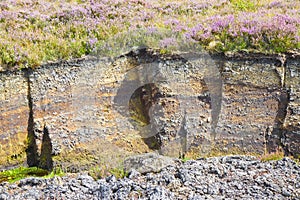 Irish peat bog landscape - Ireland - Europe