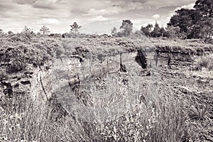 Irish peat bog landscape - (Ireland - Europe)