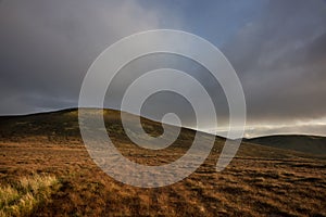 Irish Peatland in county Mayo