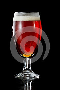 Irish red ale