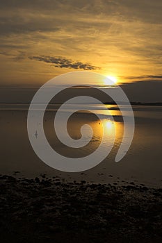 Irish sea, at Caernarfon Wales, at sunset.  Variety of birds feeding on the mud flats