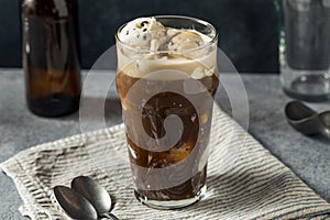 Irish Stout Ice Cream Float