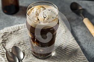 Irish Stout Ice Cream Float