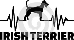 Irish Terrier heartbeat word