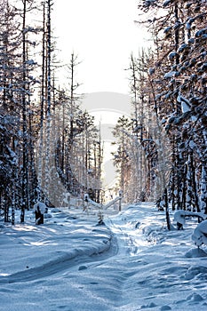 Irkutsk region. Wintering in the Siberian taiga