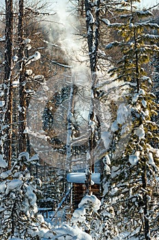 Irkutsk region. Wintering in the Siberian taiga