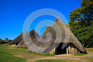 Iron age huts