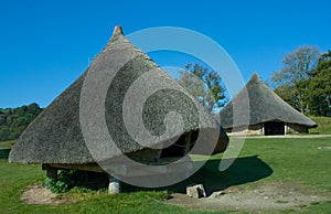 Iron age store hut