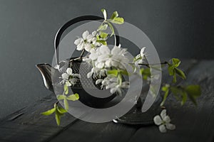 Iron asian teapot with blossom flowers cherry branch on wooden background.