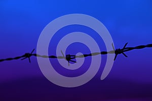 Iron barbed wire for imprisonment of convicts on a blue background