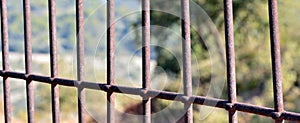 Iron bars forming a fence photo