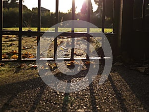 Iron bars and the shadow at daytime