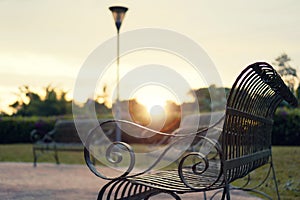 Iron Bench in the Park