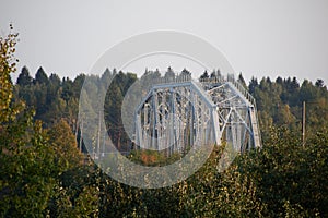 Iron bridge against the green forest