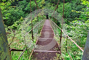 Železný most v průlomu kaňonu řeky Hornád ve Slovenském ráji v létě