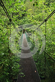 Iron bridge in Slovak Paradise