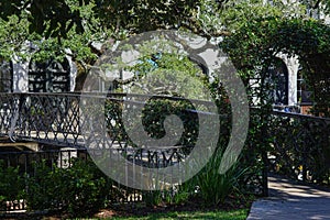 Iron bridge walkway surrounded by greenery in downtown savannah georgia