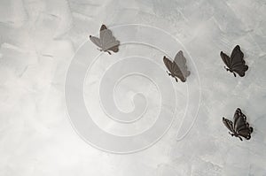 Iron butterflys on cement background