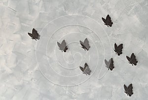 Iron butterflys on cement background