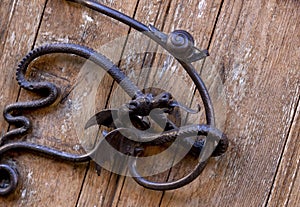 iron dragon with snail on the main door