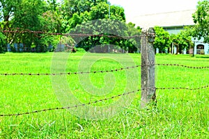 Iron fence, barbed wire and cement pillars, background, green grass