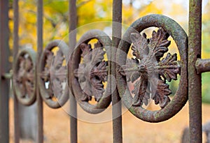 Iron fence detail macro