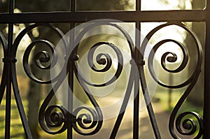 Iron fence details