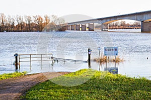 Iron fence in the flooded floodplains of the Dutch river IJssel