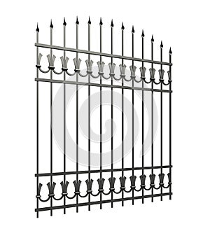 Iron fences