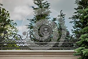 Iron forged large gate