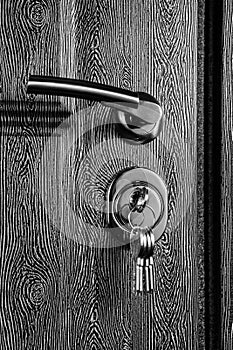 Iron front door with wooden texture