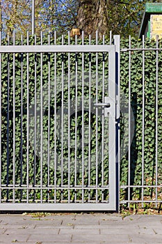 iron garden fence with lock