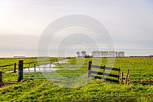 Iron gate in a Dutch polder landscape