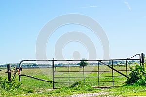 Iron gate in dutch polder landscape