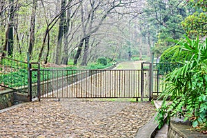 The iron gate and the path way to park