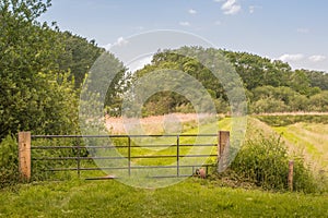 Iron gate in a rural landscape