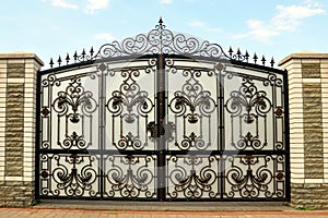 Iron gate with wrought ornament on it