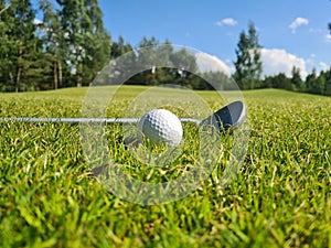 Iron golf club and ball on green grass