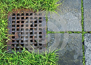 iron grate of a drainage system for storm water drainage from a pedestrian sidewalk near a green lawn.