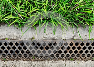 iron grate of a drainage system for storm water drainage from a pedestrian sidewalk near a green lawn.