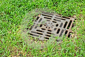 Iron grate of water drain