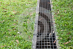 Iron grate of water drain in grass garden