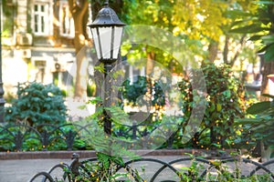 Iron ground lantern of street lighting wrapped in warm glow garland.