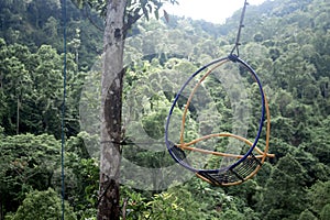 an iron hanging seat tied to a tree trunk