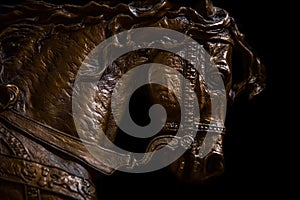 Iron horse head on a black background