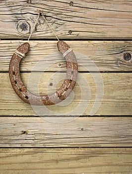 Iron horseshoe