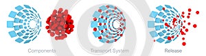 Iron Isomaltoside Transport System Scheme. 3D Rendering Medical Illustration photo