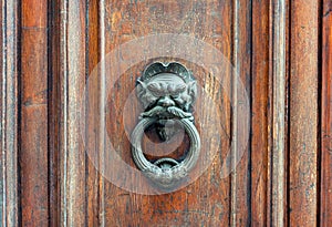 Iron lion doorknob on wooden door