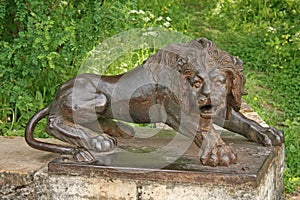 Iron lion at the large stone stairs in the Pavlovsk palace park. Russia
