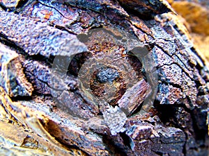 Iron macro photo